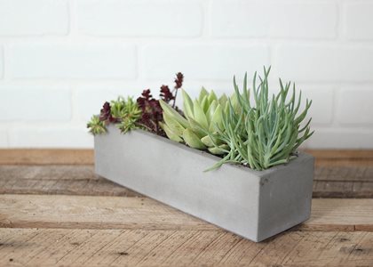 Concrete Planter, Succulents
Site
Concrete Wave Design
Anaheim, CA